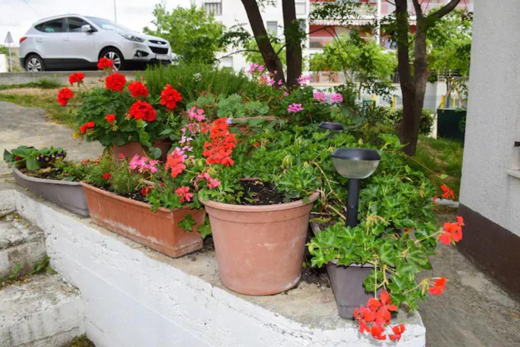 Apartments Marasovic - Roko Split Exterior foto